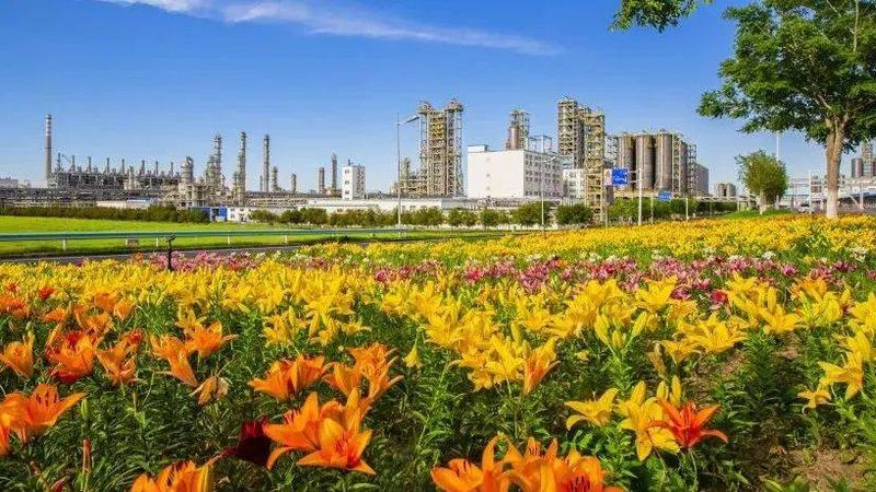 塑料原料与树脂的区别解析