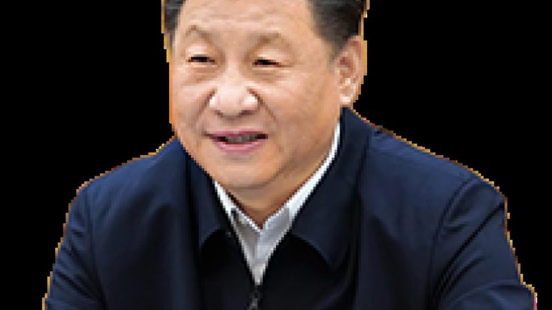 食品级与工业级化学助剂：本质区别与选用要点